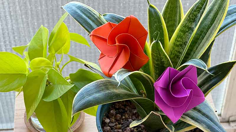Two origami flowers placed on a real plant.